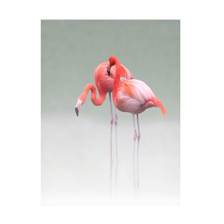 Anna Cseresnjes 'Just We Two' Canvas Art