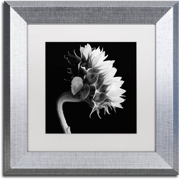 Michael Harrison 'Sunflower' Matted Framed Art