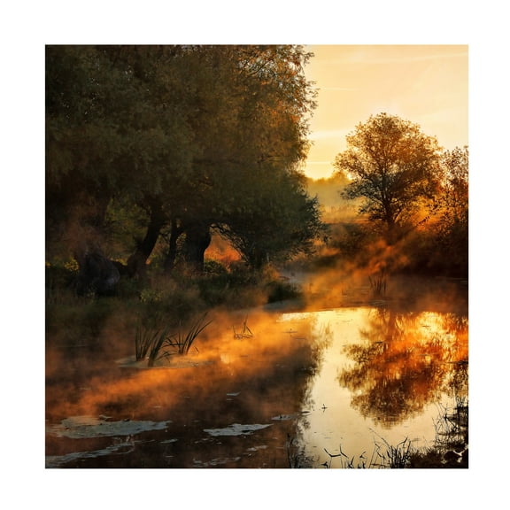 Leicher Oliver 'When Nature Paints With Light' Canvas Art