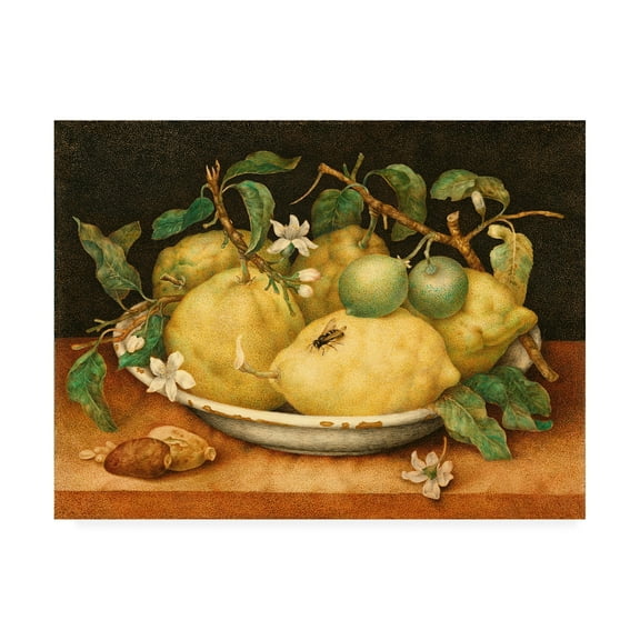Garzoni 'Still Life with Bowl of Citrons' Canvas Art