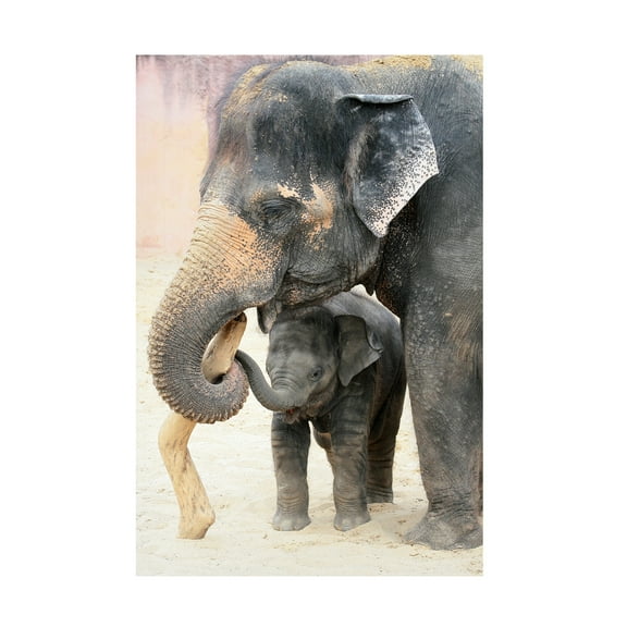 Antje Wenner-Braun 'Two' Canvas Art