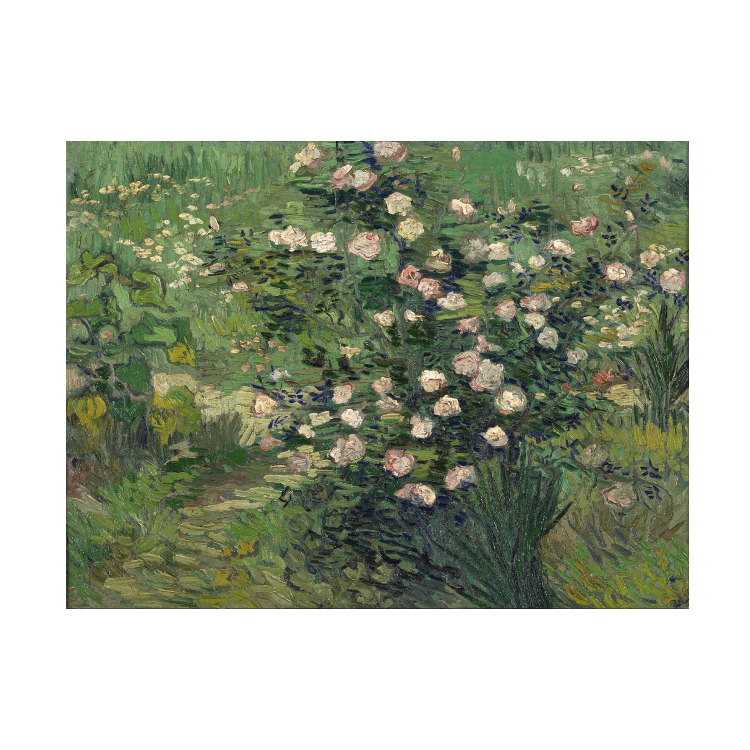 Van Gogh 'Roses' Canvas Art