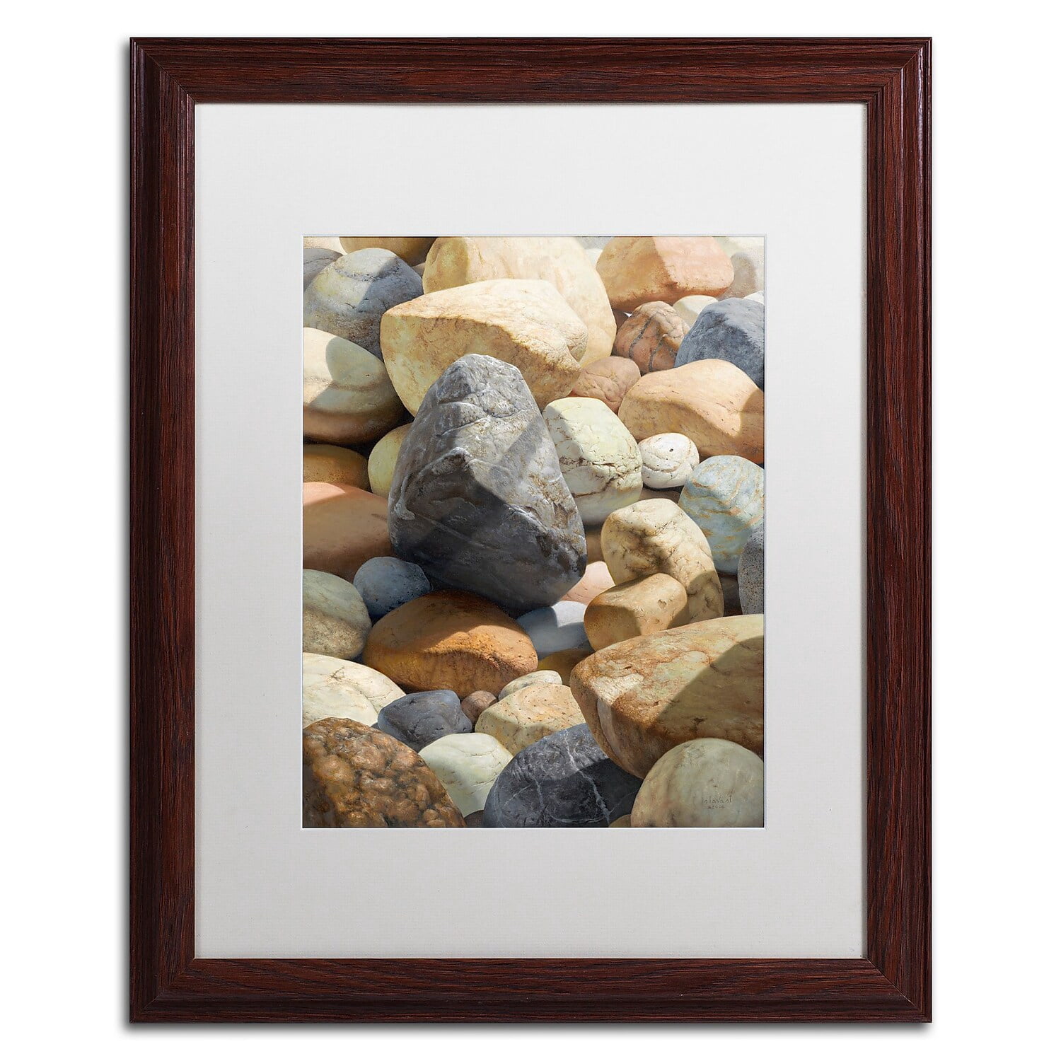Stephen Stavast 'A Bolder View' Matted Framed Art
