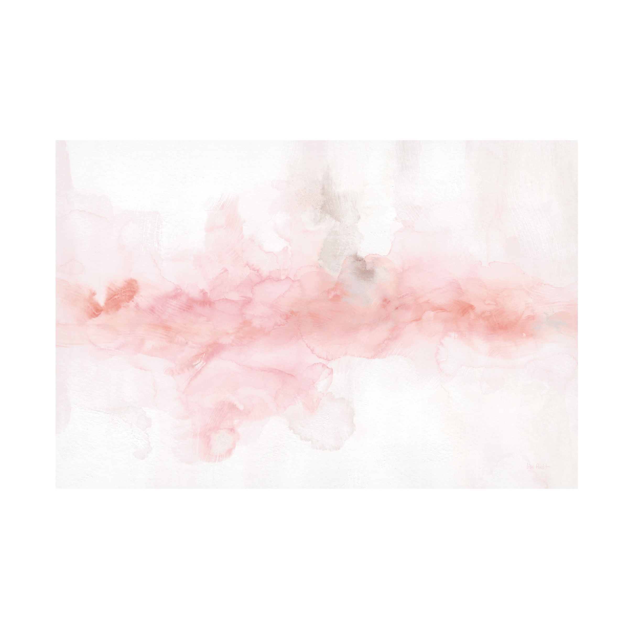 Lisa Audit 'Rainbow Seeds Abstract Blush Gray Crop' Canvas Art