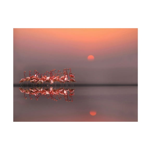 Anna Cseresnjes 'Purple Sunset' Canvas Art