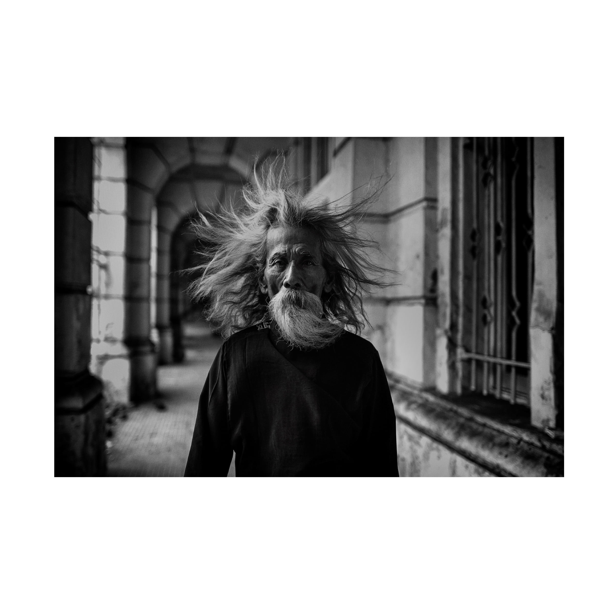 Hardibudi 'That Summer The Wind Blows' Canvas Art