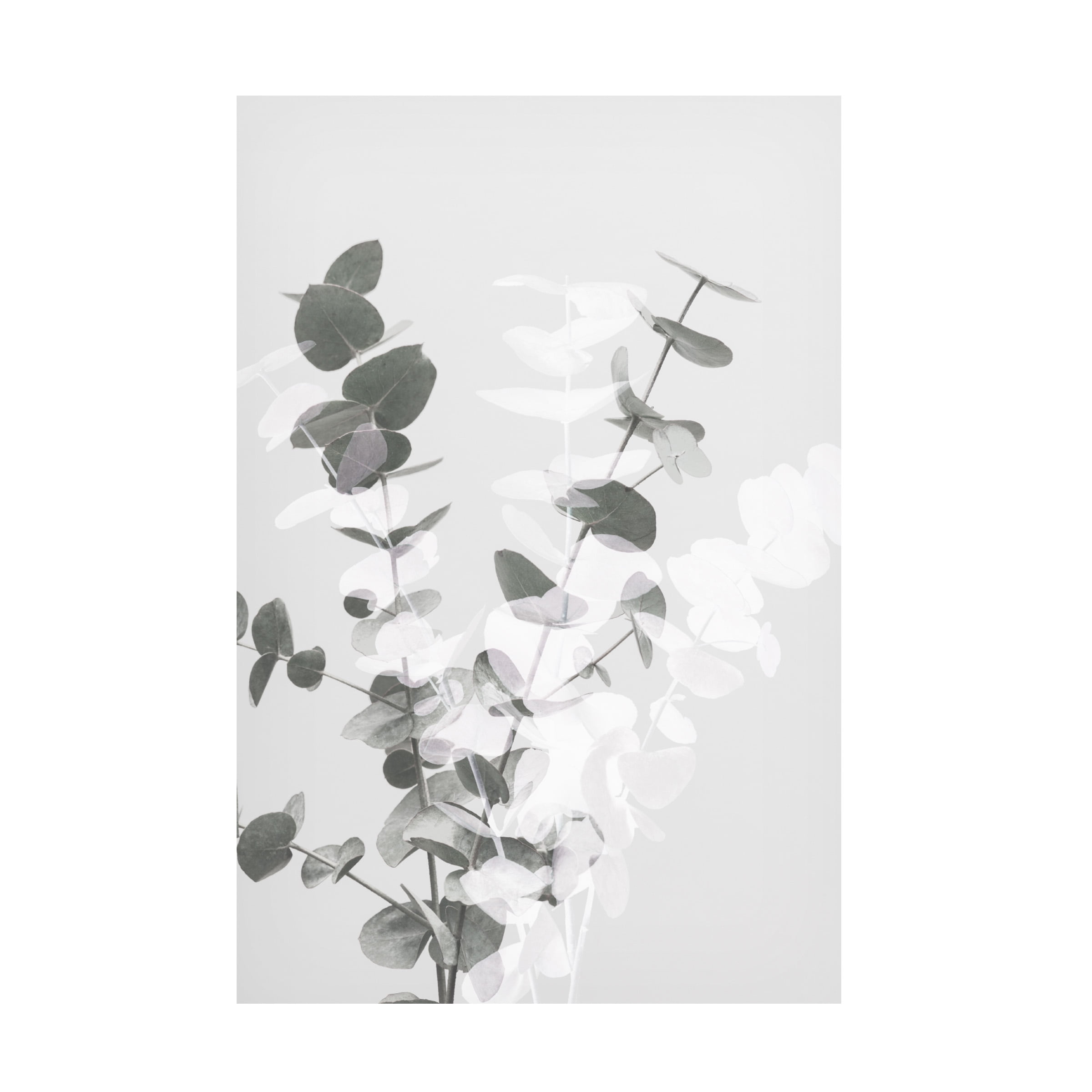 1x Studio III 'Eucalyptus Creative 08' Canvas Art