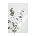 thumbnail image 1 of 1x Studio III 'Eucalyptus Creative 08' Canvas Art, 1 of 4