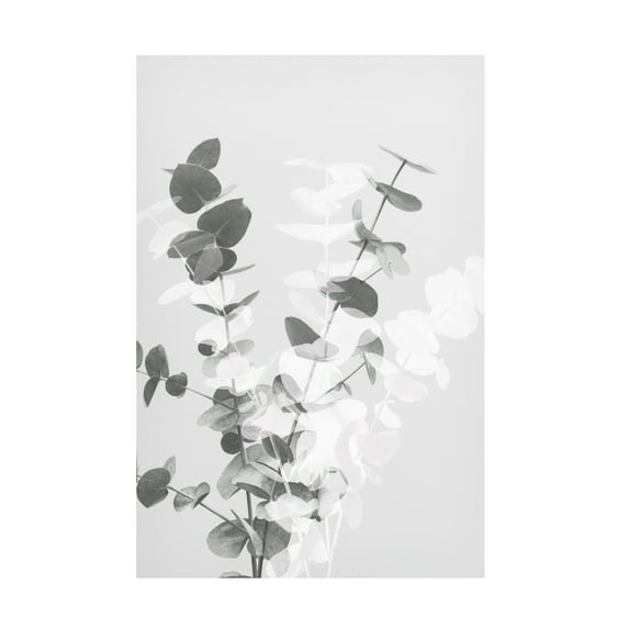 1x Studio III 'Eucalyptus Creative 08' Canvas Art