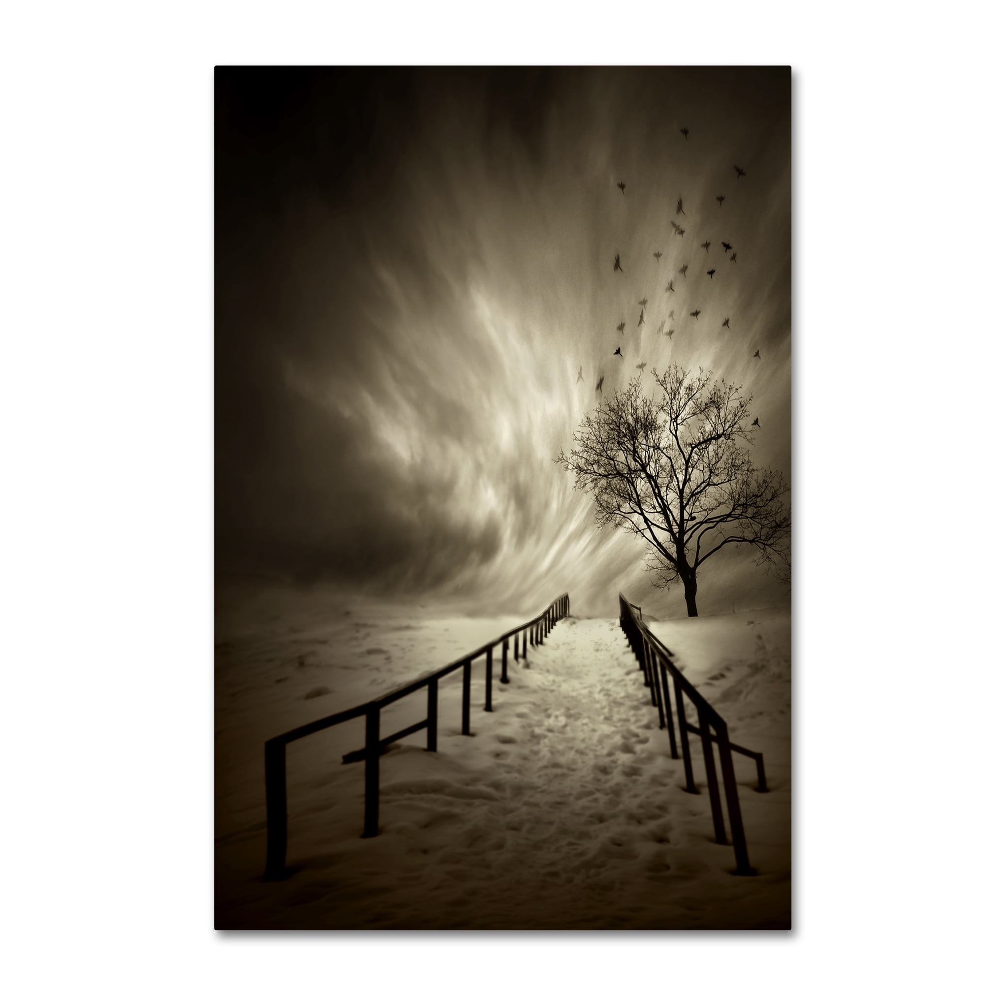 David Senechal 'Stairs To The Sanctuary' Canvas Art