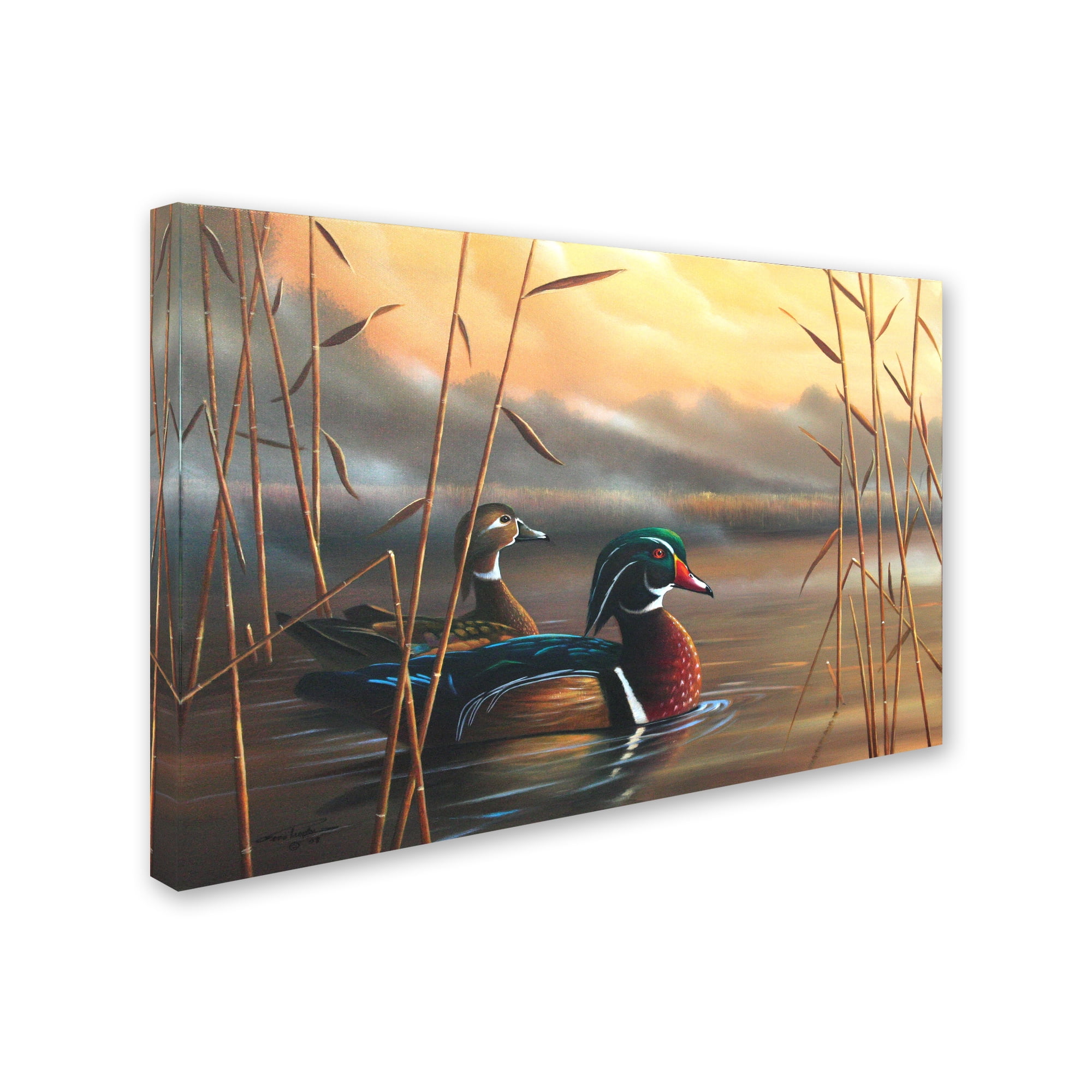 Geno Peoples Wood Ducks 22" x 32" Canvas Wall Art