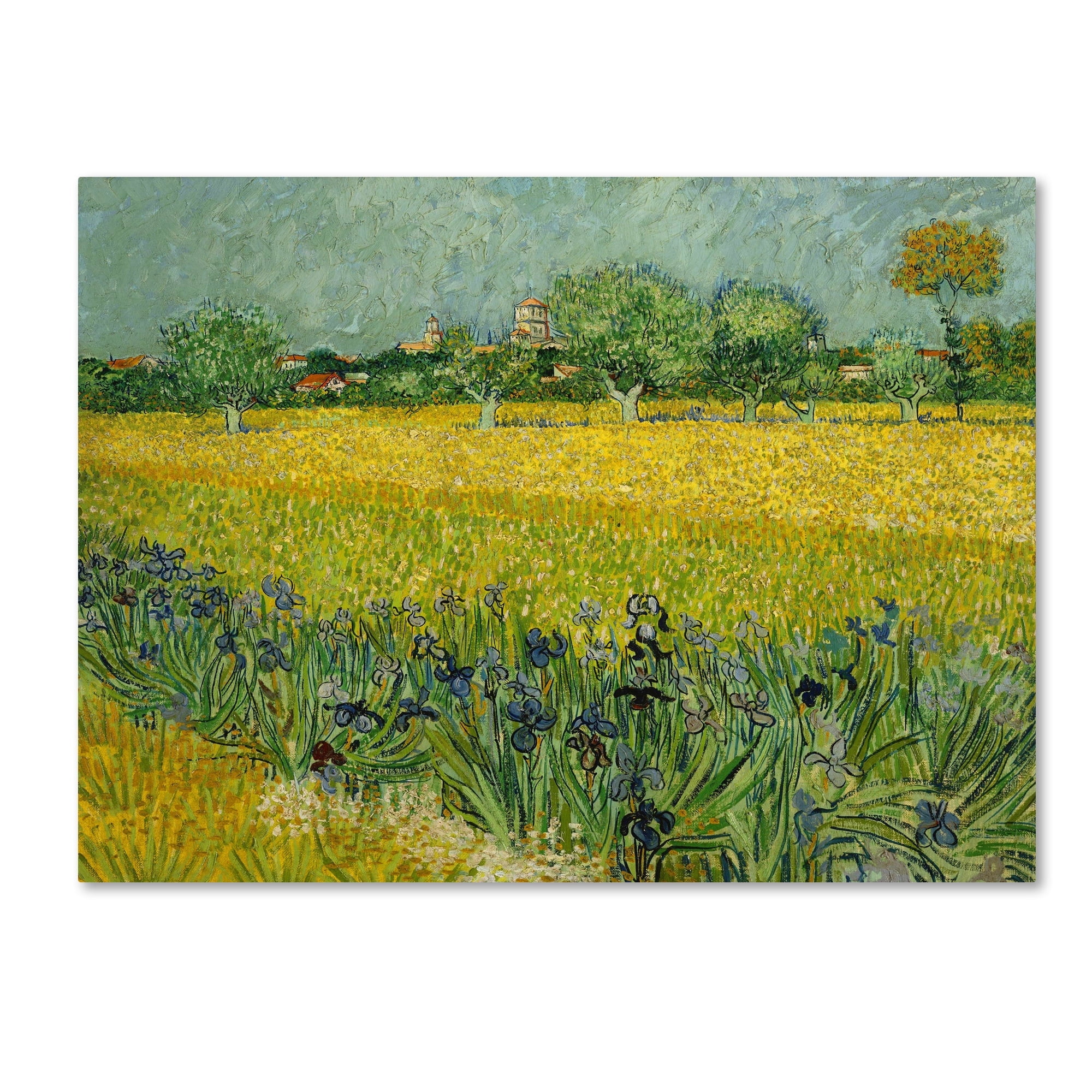 Vincent Van Gogh Field With Flowers Landscape Canvas Print