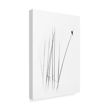 Swapnil 'A Sabbatical' Canvas Art