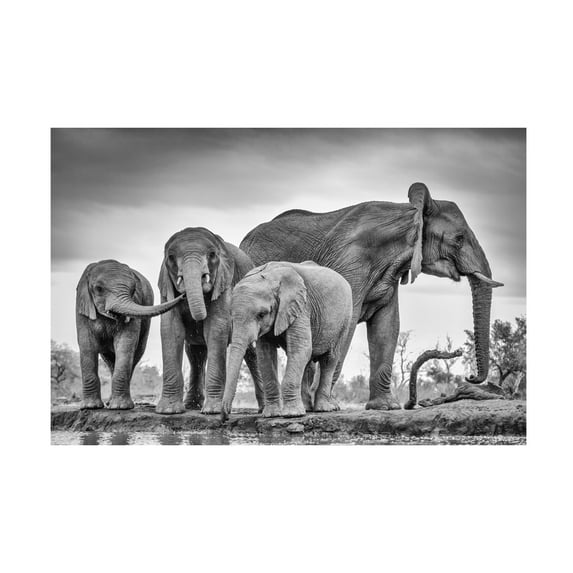 Jaco Marx 'A Giant Unity' Canvas Art