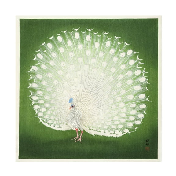 Pictufy 'Peacock' Canvas Art