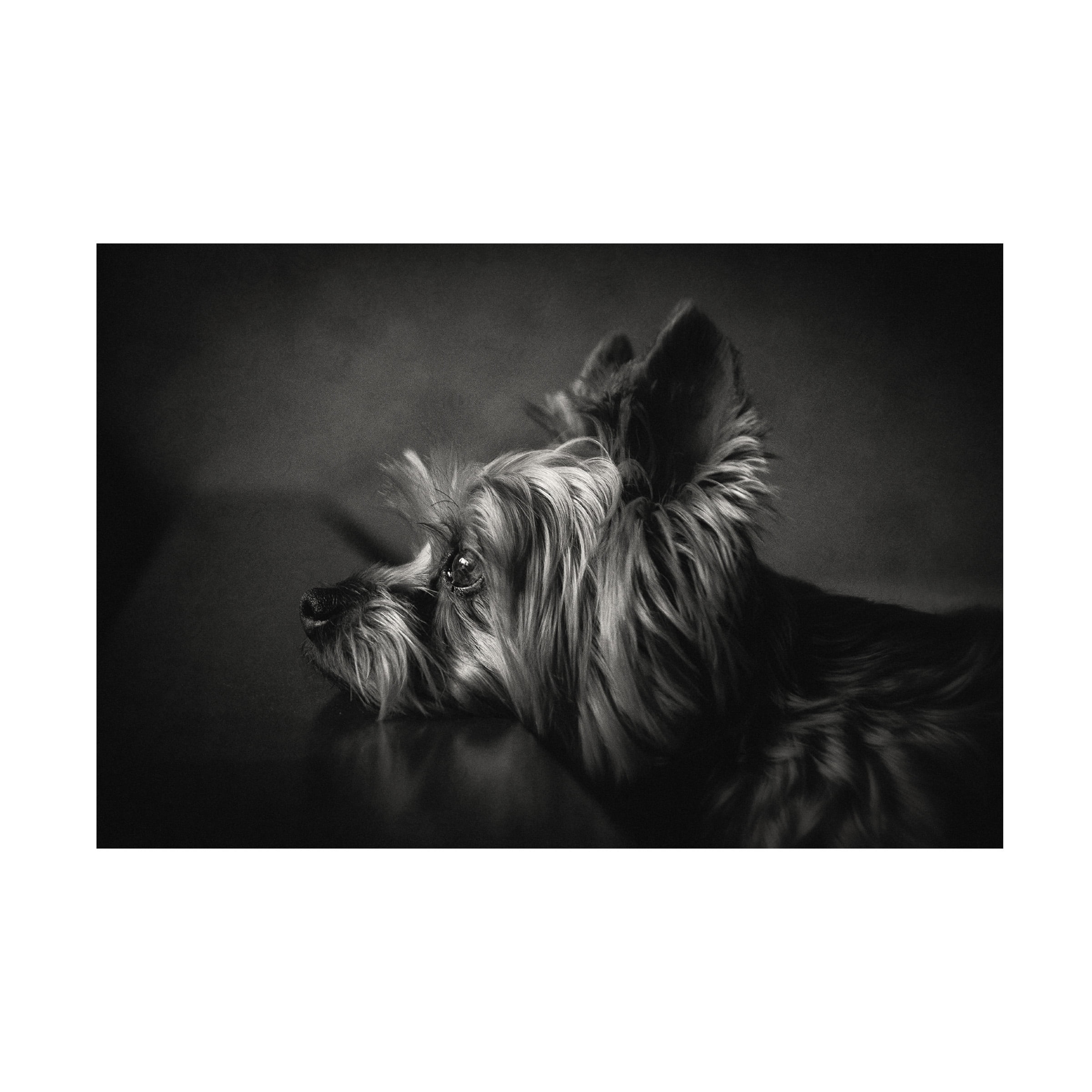 Krisztina Lacz 'I Have Been Waiting For You ...' Canvas Art
