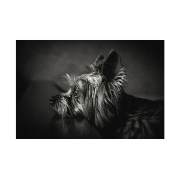 Krisztina Lacz 'I Have Been Waiting For You ...' Canvas Art