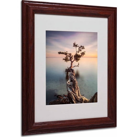 Matted art under acrylic in a wood frame
