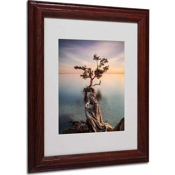 Matted art under acrylic in a wood frame