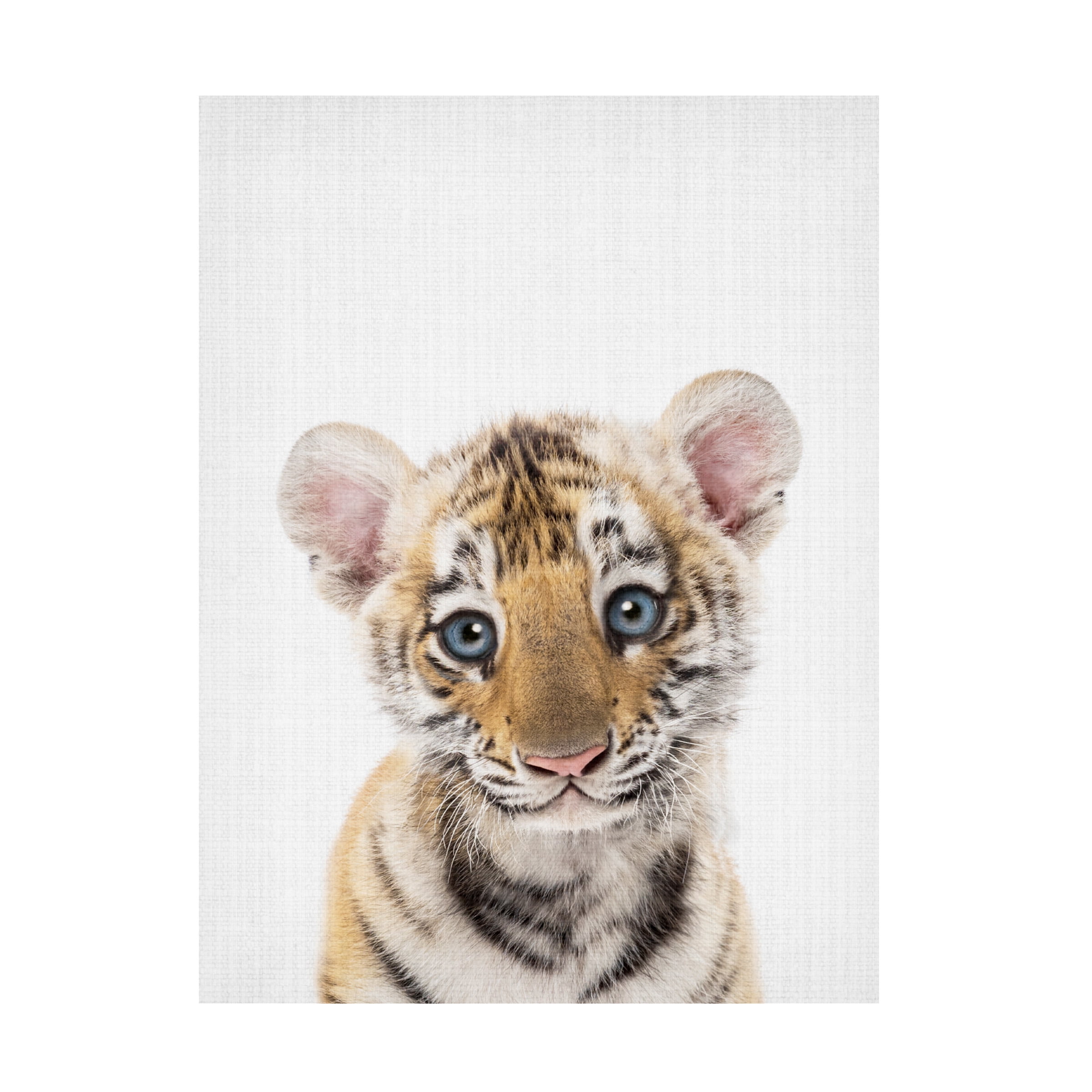 Lola Peacock 'Peekaboo Baby Tiger' Canvas Art