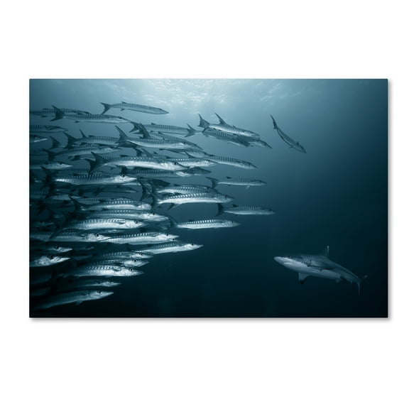 Andrey Narchuk 'Oppositin' Canvas Art