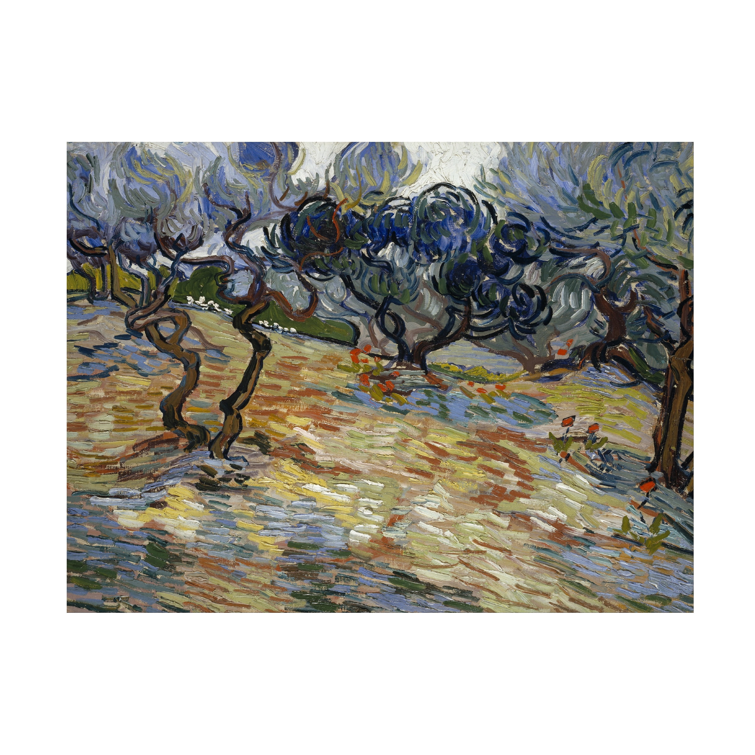 Van Gogh 'Olive Trees' Canvas Art
