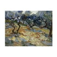thumbnail image 1 of Van Gogh 'Olive Trees' Canvas Art, 1 of 4