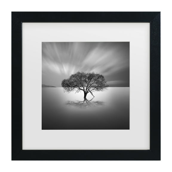 Trademark Fine Art "Water Tree VIII" Canvas Art by Moises Levy White Matte, Black Frame