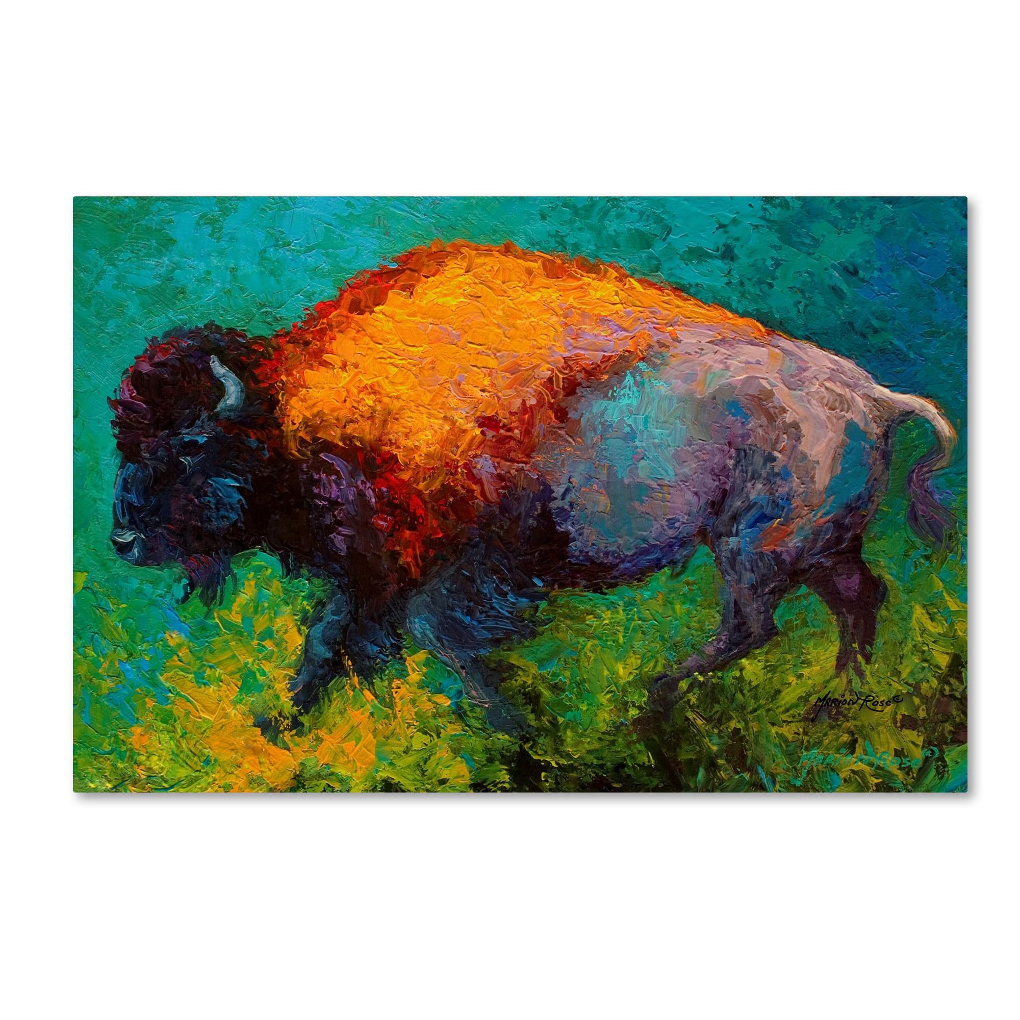 Marion Rose 'On The Run Bison' Canvas Art