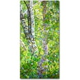 thumbnail image 1 of Trademark Fine Art Mandy Budan Hide And Seek Canvas Wall Art - 24x47, 1 of 4