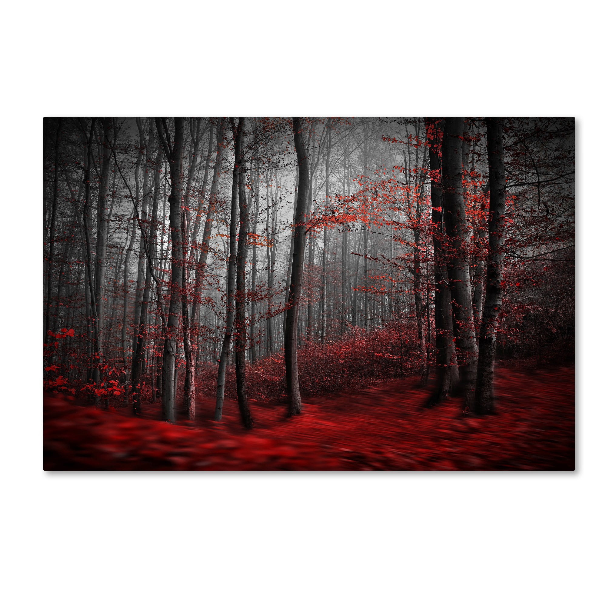 Samanta 'Bloody River' Canvas Art