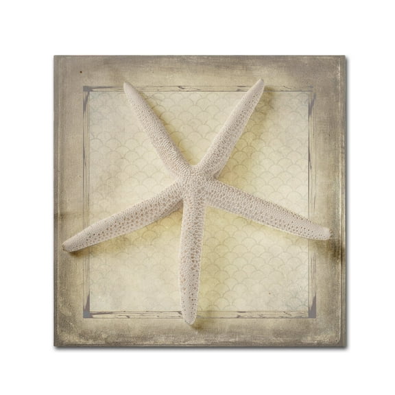 LightBoxJournal 'Starfish' Canvas Art