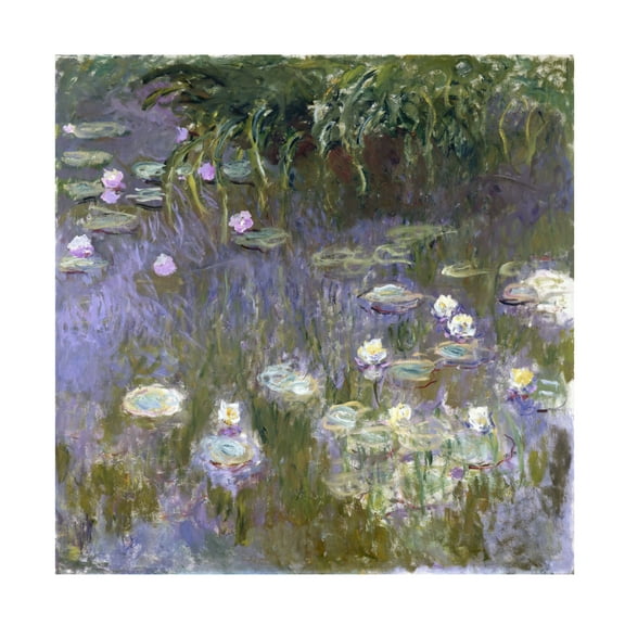 Monet 'Water Lilies' Canvas Art