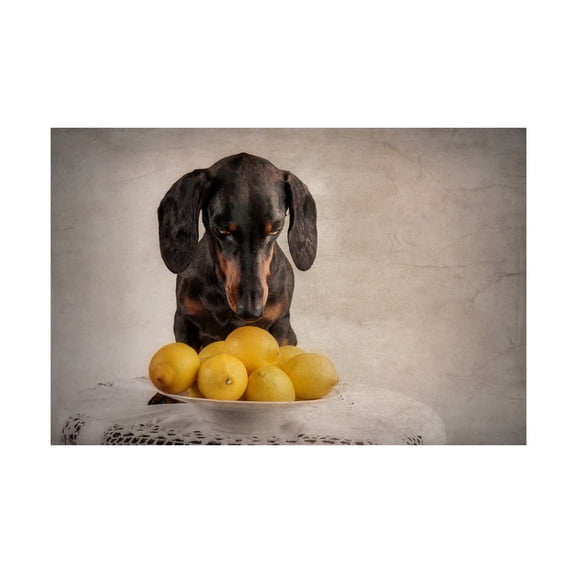 Heike Willers 'When Life Gives You Lemons' Canvas Art