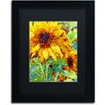 thumbnail image 1 of Mandy Budan 'Summer In The Garden' Black Matted Framed Art, 1 of 1