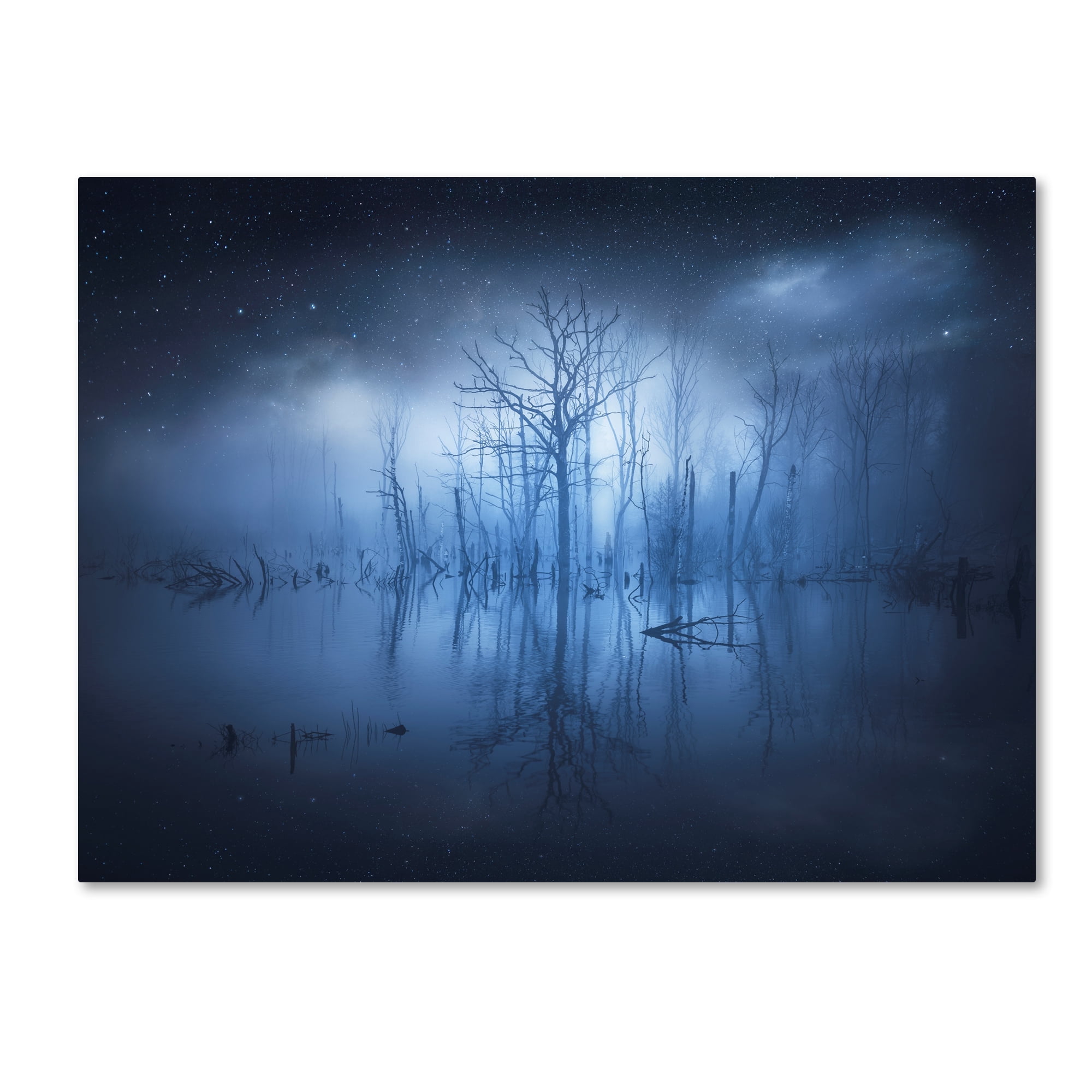 Christian Lindsten 'Stranger Things' Canvas Art