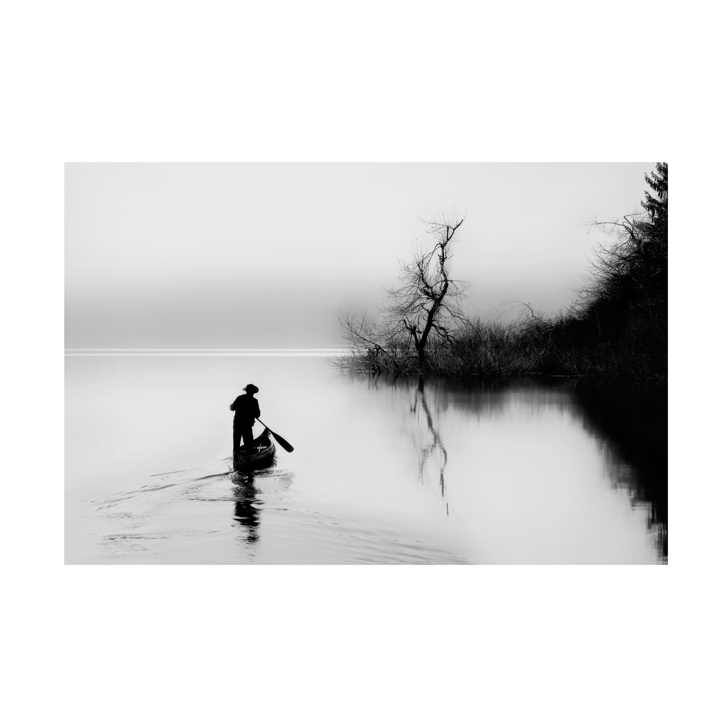 Damijan Sedevcic 'Peace' Canvas Art