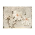 thumbnail image 1 of LightBoxJournal 'Spring Magnolia' Canvas Art, 1 of 4