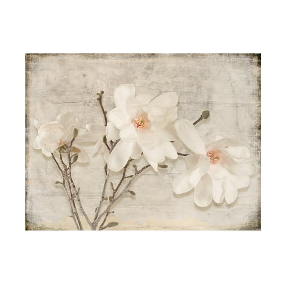 LightBoxJournal 'Spring Magnolia' Canvas Art