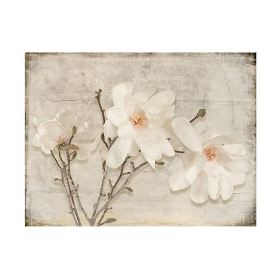 LightBoxJournal 'Spring Magnolia' Canvas Art