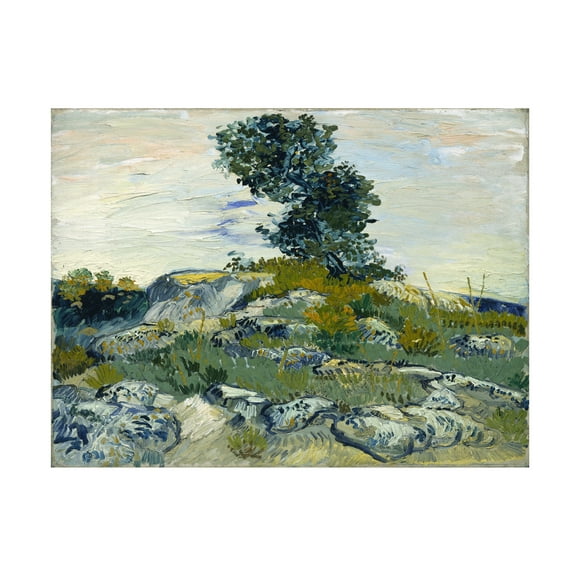 Van Gogh 'The Rocks' Canvas Art