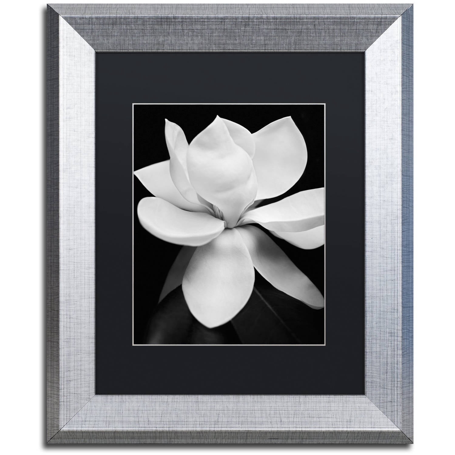Michael Harrison 'Magnolia' Black Matted Framed Art