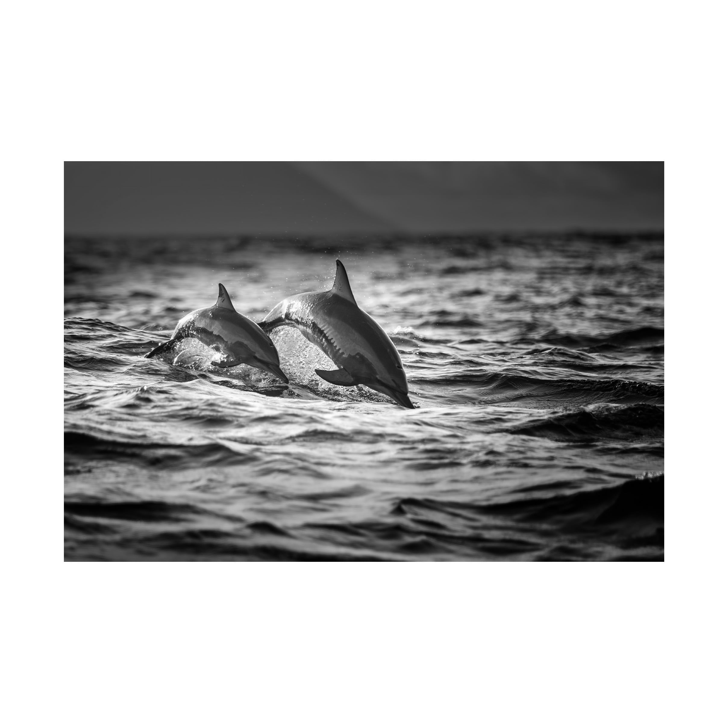 Gunarto Song 'The Mother And The Baby' Canvas Art