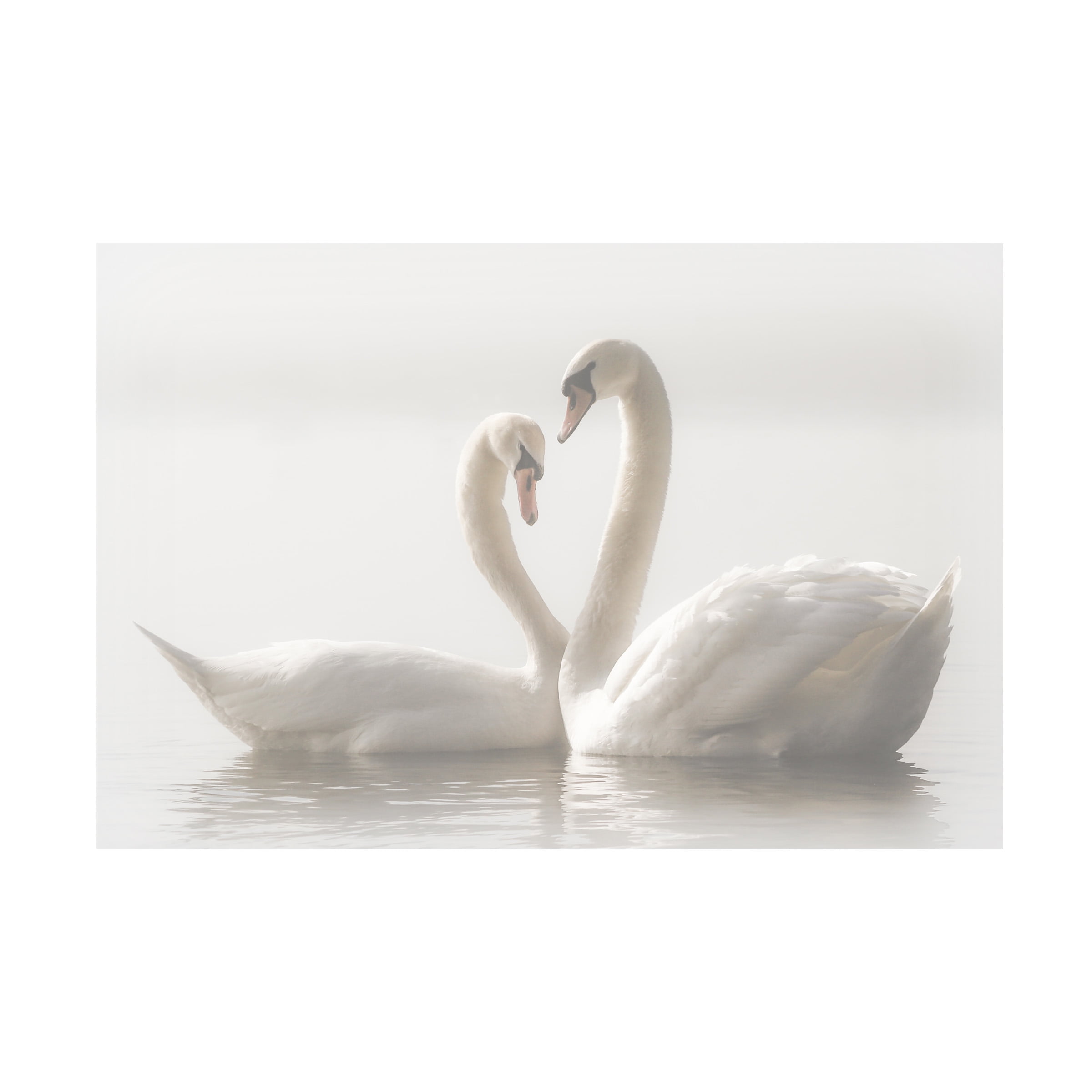 Monika Schwager 'Forever' Canvas Art