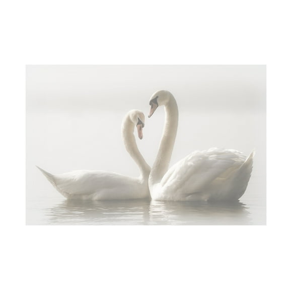 Monika Schwager 'Forever' Canvas Art