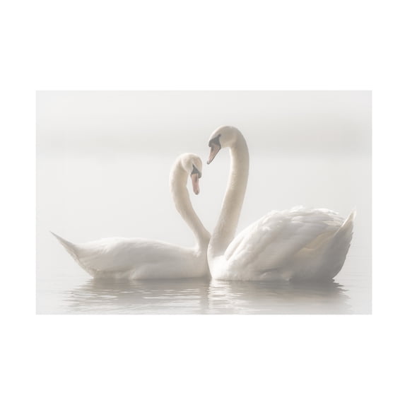 Monika Schwager 'Forever' Canvas Art