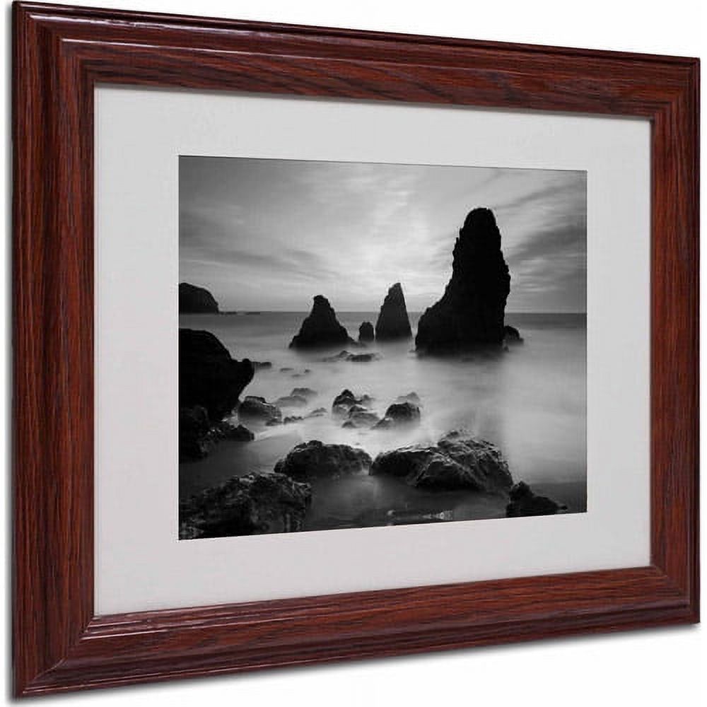 Matted art under acrylic in a wood frame