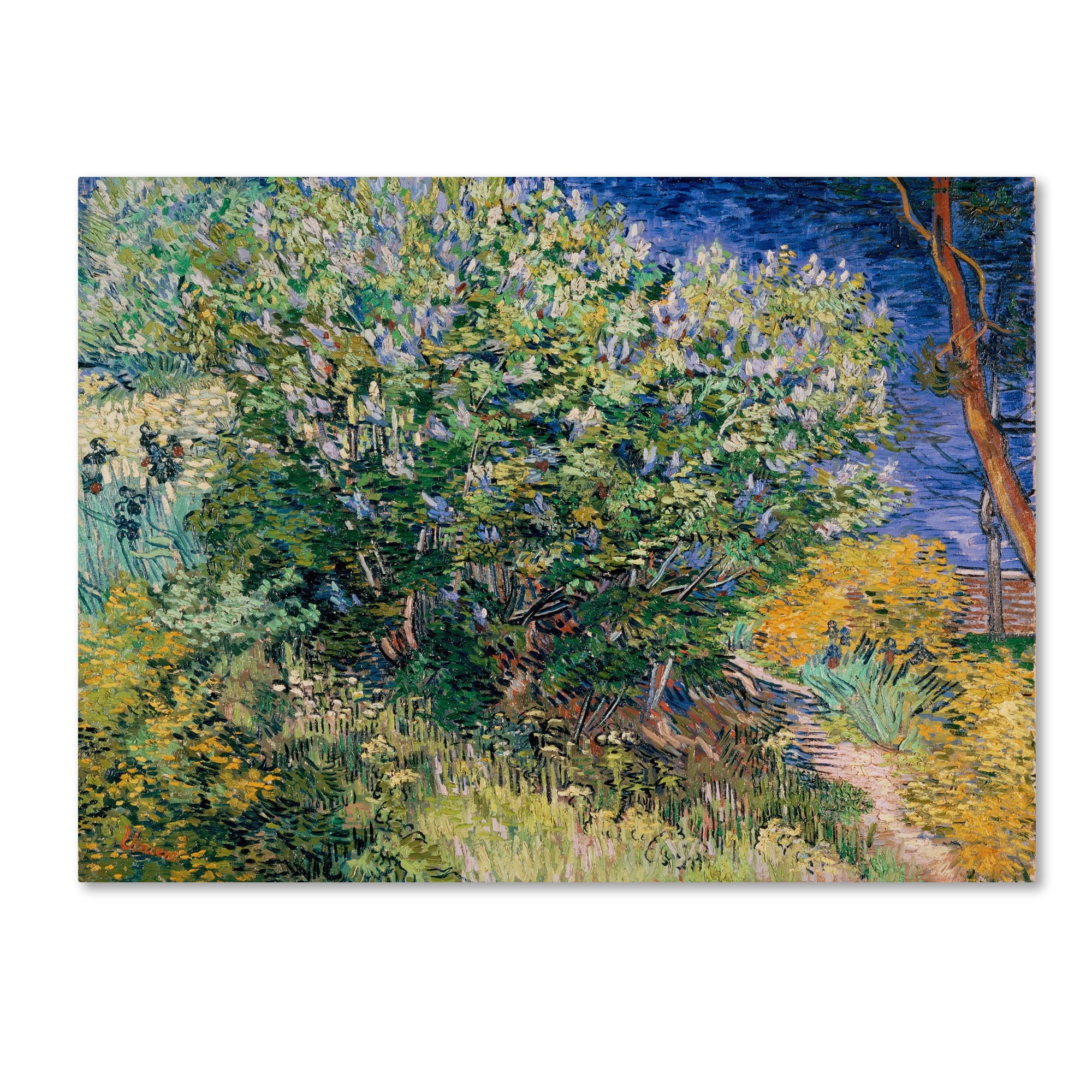 Van Gogh 'Lilac Bush' Canvas Art