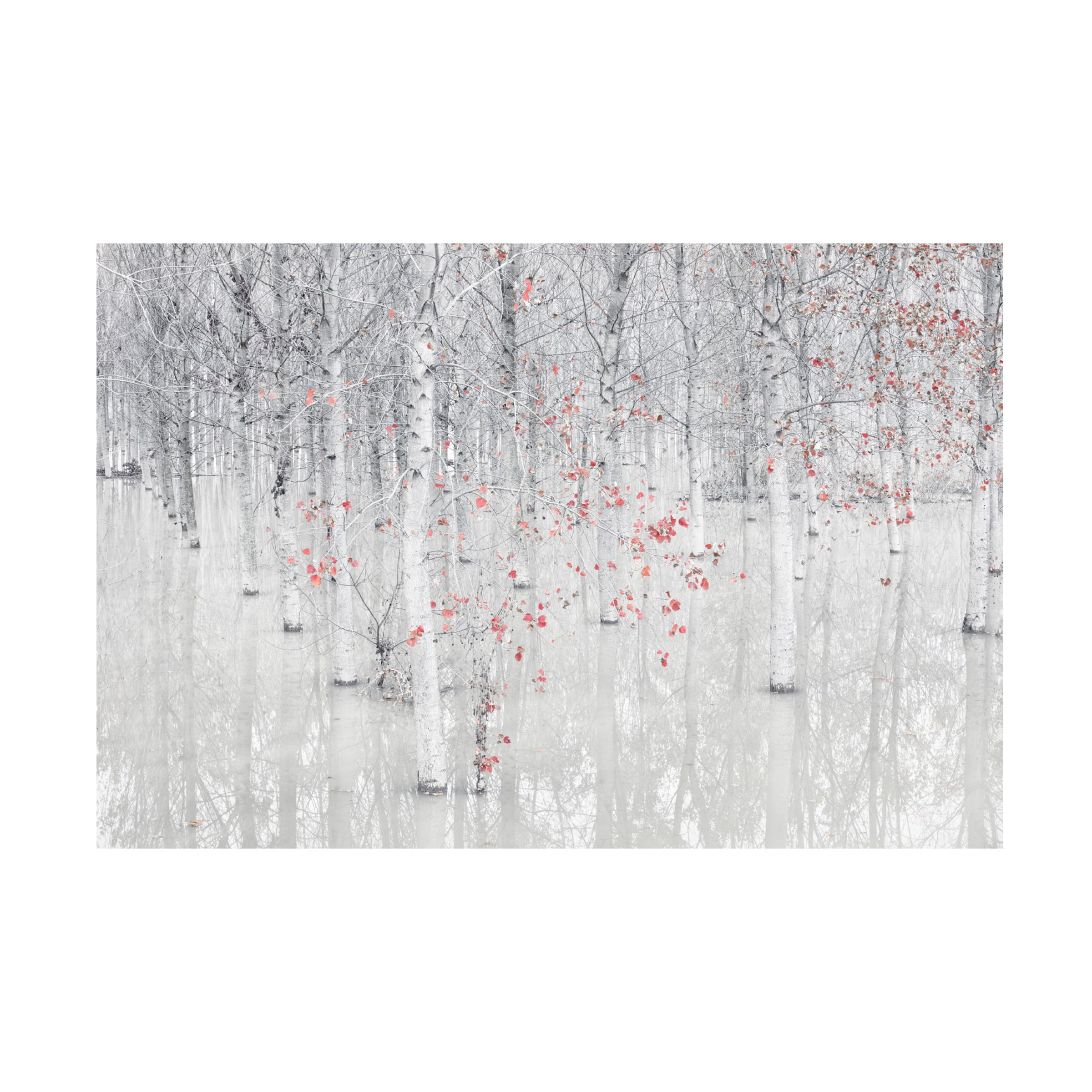 Fiorenzo Carozzi 'Red A White' Canvas Art