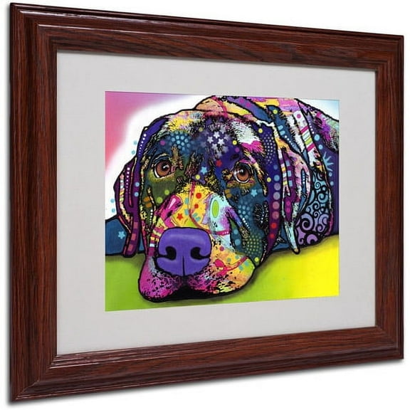 Matted art under acrylic in a wood frame